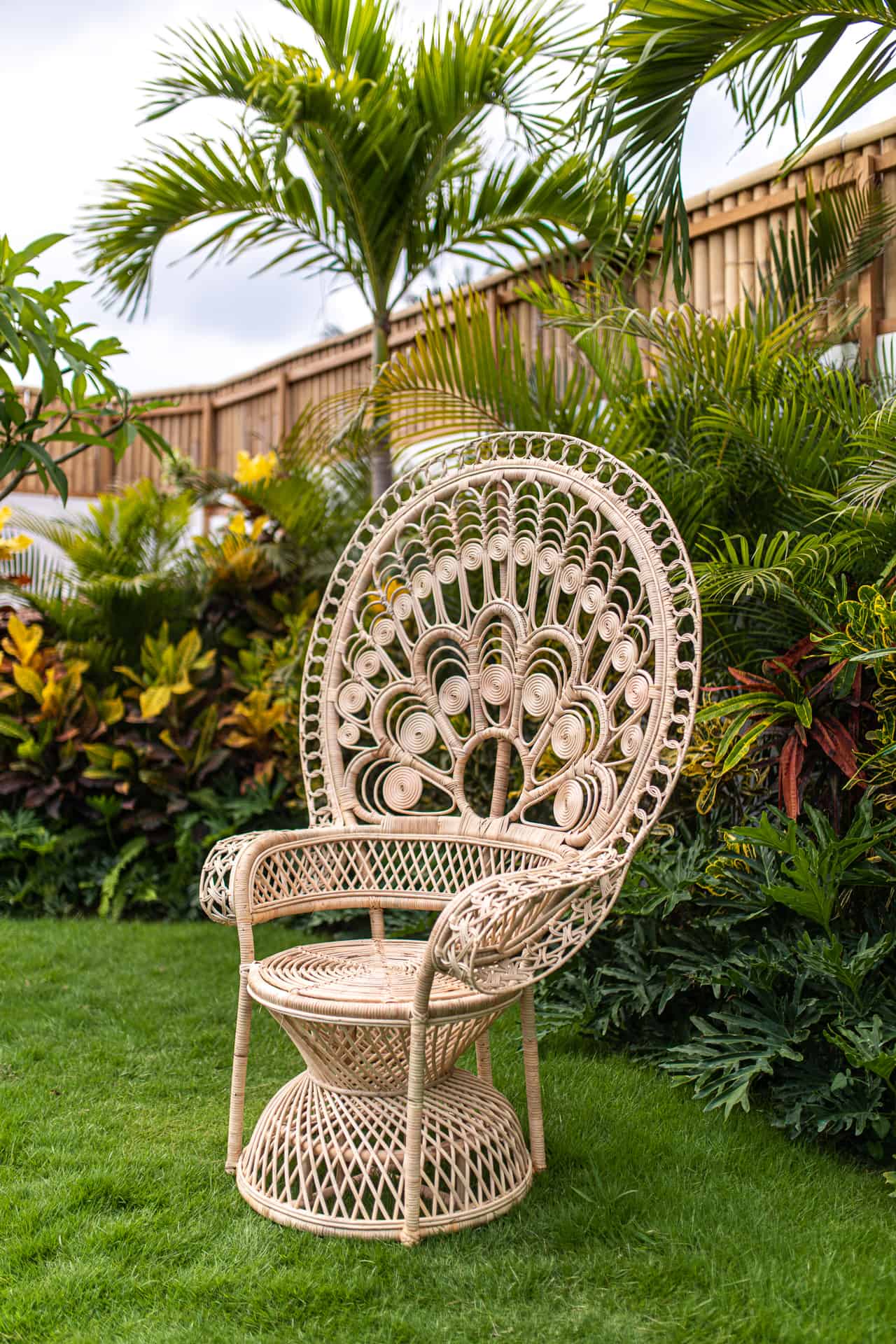 fotel-peacock-recznie-robiony-na-bali-boho Fotel pawi z rattanu z Bali