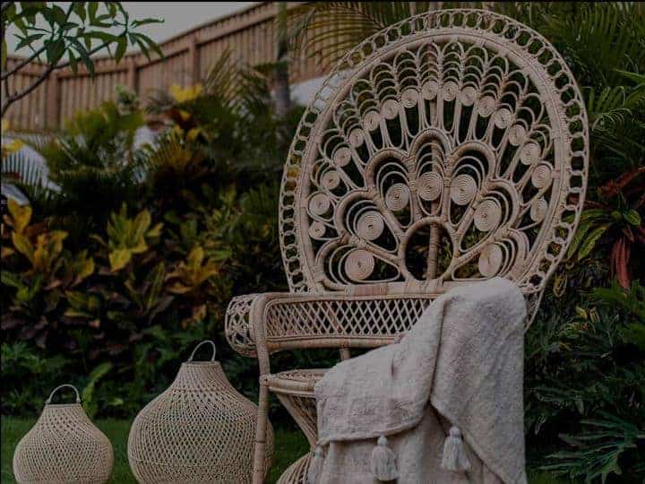 meble rattanowe fotel paw