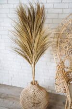 trawa ozdobna boho pampasowa