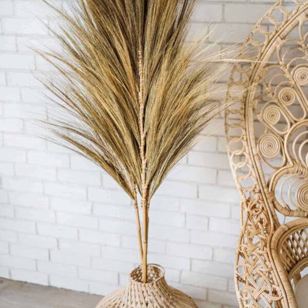 trawa ozdobna boho pampasowa